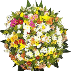 Crisântemo colorido para coroas de flores funerárias